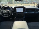 2024 F-150 Thumbnail 13