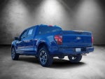 2024 F-150 Thumbnail 4