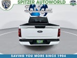 2024 F-150 Thumbnail 7