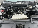 2024 F-150 Thumbnail 18
