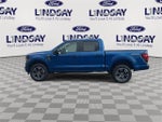 2024 F-150 Thumbnail 5