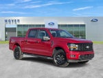 2024 F-150 Thumbnail 1