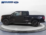 2024 F-150 Thumbnail 2