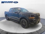 2024 F-150 Thumbnail 7