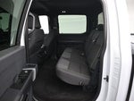 2025 F-150 Thumbnail 18