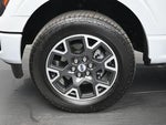 2025 F-150 Thumbnail 22