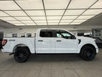 2025 F-150 Thumbnail 4