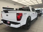 2025 F-150 Thumbnail 5