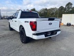 2025 F-150 Thumbnail 5