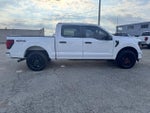 2025 F-150 Thumbnail 10