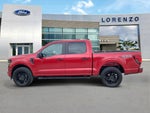 2025 F-150 Thumbnail 10
