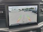 2025 F-150 Thumbnail 12