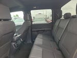 2025 F-150 Thumbnail 16