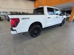2024 F-150 Thumbnail 8