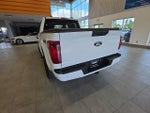 2024 F-150 Thumbnail 12