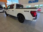 2024 F-150 Thumbnail 14