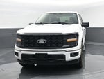 2024 F-150 Thumbnail 21