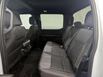 2024 F-150 Thumbnail 20