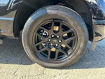 2024 F-150 Thumbnail 9