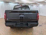 2024 F-150 Thumbnail 6