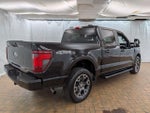 2024 F-150 Thumbnail 8