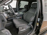 2024 F-150 Thumbnail 13