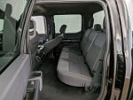 2024 F-150 Thumbnail 19