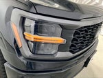 2025 F-150 Thumbnail 12