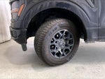 2025 F-150 Thumbnail 20