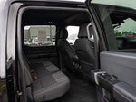 2025 F-150 Thumbnail 20