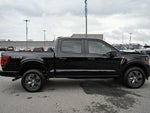 2025 F-150 Thumbnail 11