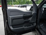 2025 F-150 Thumbnail 16