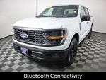 2024 F-150 Thumbnail 8