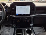 2024 F-150 Thumbnail 13