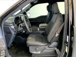 2024 F-150 Thumbnail 14