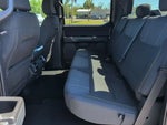 2024 F-150 Thumbnail 11