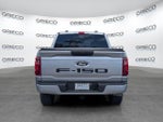 2024 F-150 Thumbnail 6