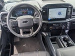 2024 F-150 Thumbnail 13