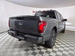 2025 F-150 Thumbnail 11