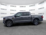 2025 F-150 Thumbnail 4