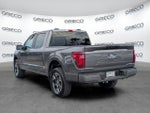 2025 F-150 Thumbnail 5