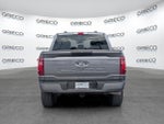 2025 F-150 Thumbnail 6