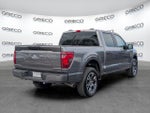 2025 F-150 Thumbnail 7