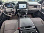 2025 F-150 Thumbnail 13