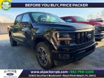 2025 F-150 Thumbnail 1