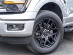 2025 F-150 Thumbnail 3