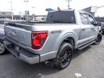 2025 F-150 Thumbnail 8