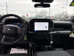 2025 F-150 Thumbnail 14