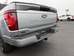 2025 F-150 Thumbnail 9