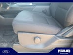 2026 F-150 Thumbnail 14
